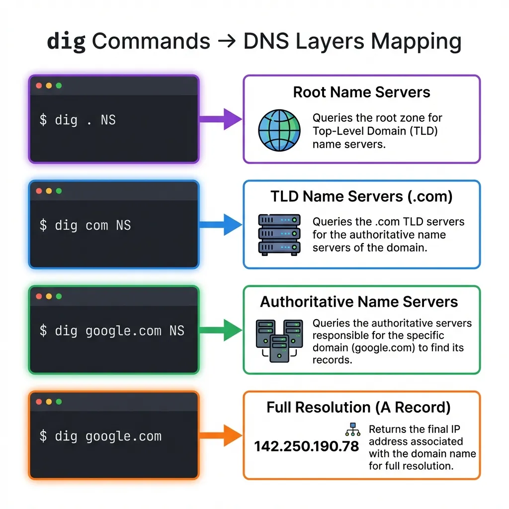 dig Commands Mapping to DNS Hierarchy